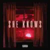 Voyou & DenVan - She Knows - Single